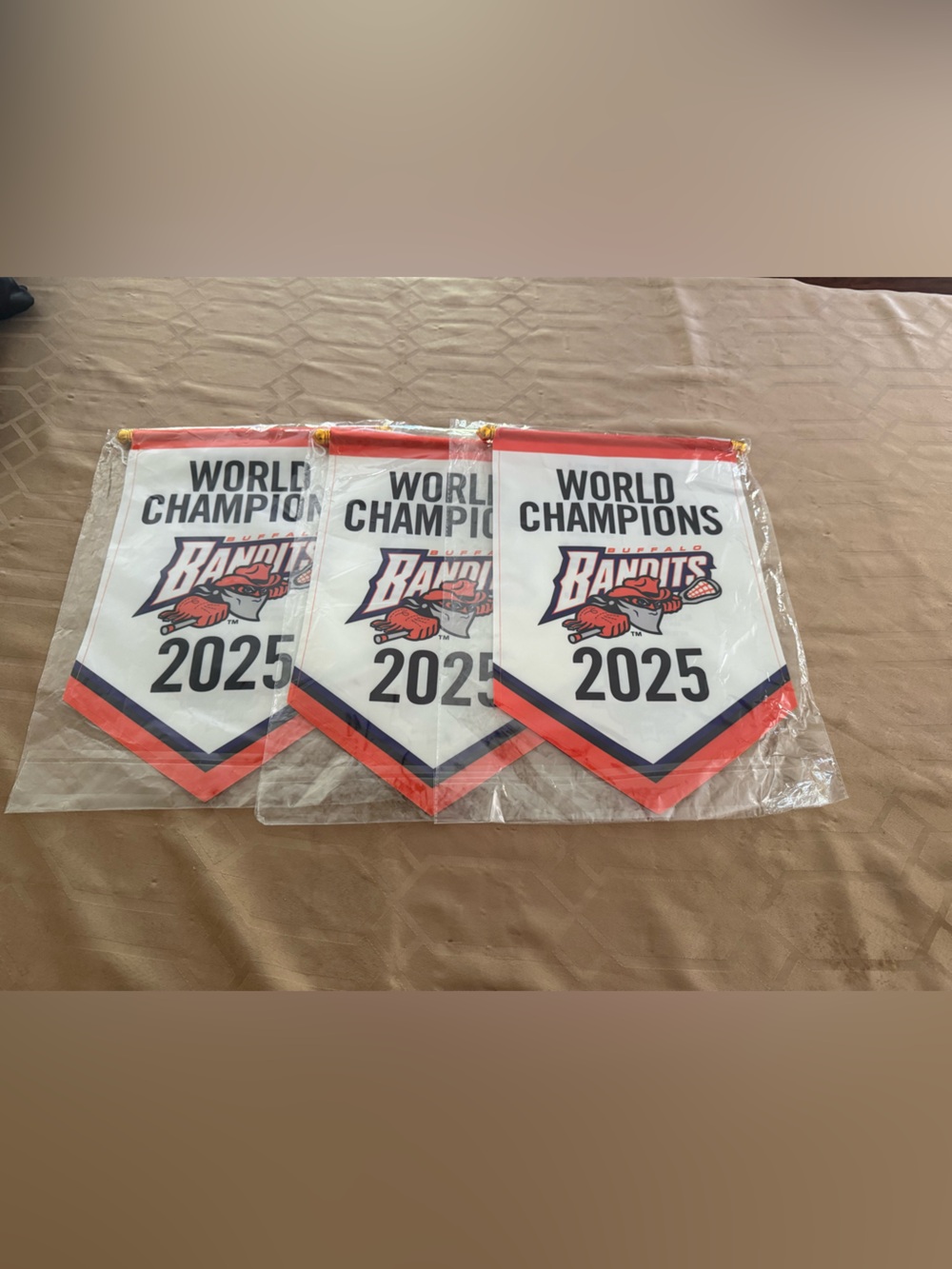 Buffalo Bandits 2025 champion banners